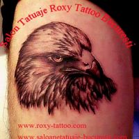 cap vultur tatuaje roxy