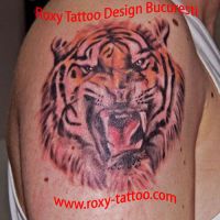 modele-tatuaje-tiger-roxy-tattoo