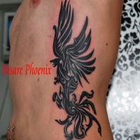 tatuaje-baieti-coaste-phoenix