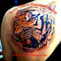 tatuaje-baieti-tigru-roxy-saloane-tattoo