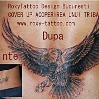 tatuaje-fete-vultur-cover-roxy