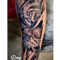 tatuaje baieti tigru roxy